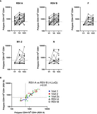 T cells, more than antibodies, may prevent symptoms developing from respiratory syncytial virus infections in older adults